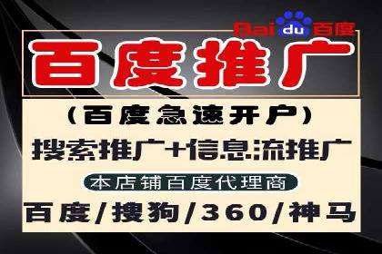 探索SEM优化托管的成功案例与策略